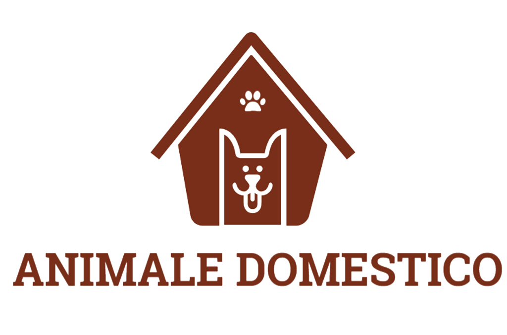 Animale Domestico
