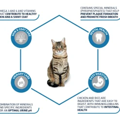 Affinity Advance Adult Pollo e Riso - Gatto