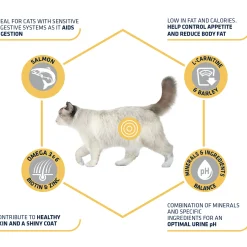 Affinity Advance Sterilized Salmon Sensitive - Gatto