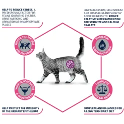 Affinity Advance Veterinary Diets Urinary Stress Gatto