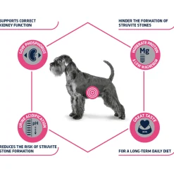 Affinity Advance Veterinary Diets Urinary Cane