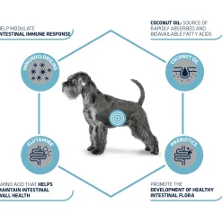 Affinity Advance Veterinary Diets Gastroenteric Cane