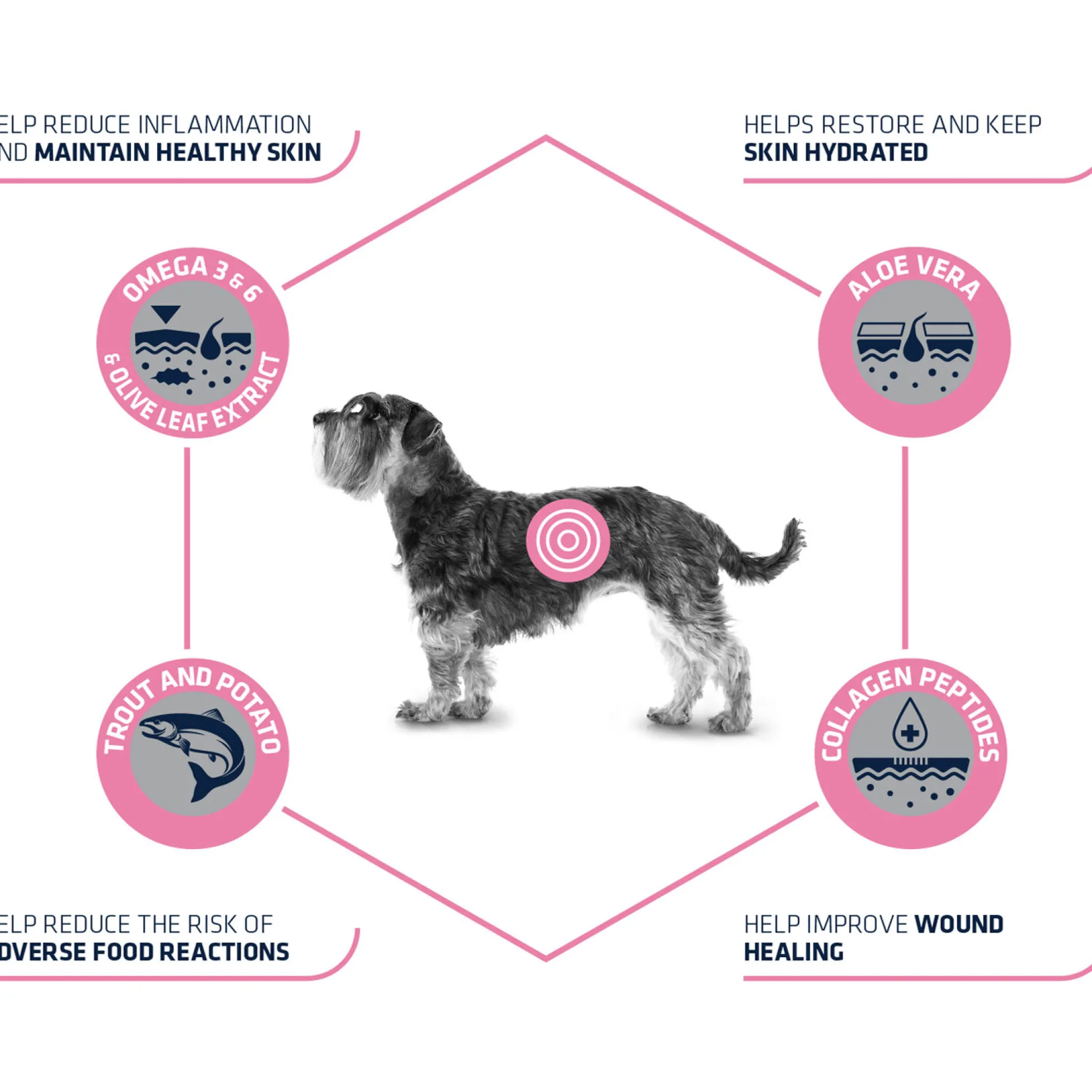 Affinity Advance Veterinary Diets Atopic Mini Cane