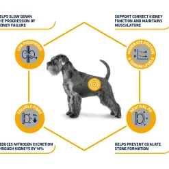 Affinity Advance Veterinary Diets Renal Cane