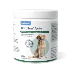 ArtroSan forte