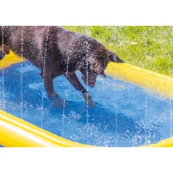 Beeztees Piscina per Cani Palmy