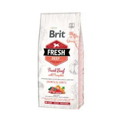 Brit Fresh Beef with Pumpkin - Puppy Large
