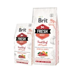 Brit Fresh Beef with Pumpkin - Puppy Large