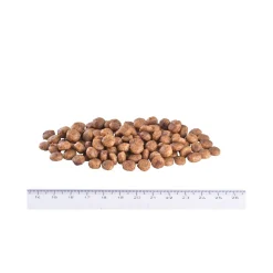 Brit Veterinary Diet Cat - Grain free - Struvite
