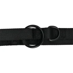 51 Degrees North Wanderful Training Leash