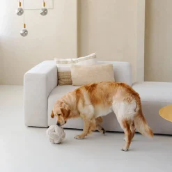 District 70 Bobby Snuffle Ball