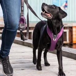 DOG Copenhagen Comfort Walk Pro™ Pettorina