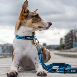 DOG Copenhagen Freestyle Guinzaglio