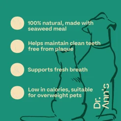 Dr. Ann's Dental Care