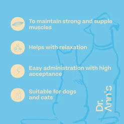 Dr. Ann's Magnesium