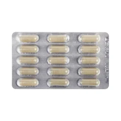 Dr. Ann's Mobility Support Advanced