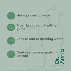 Dr. Ann's Mouth Wash