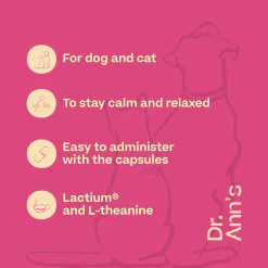 Dr. Ann's Stress Reduction