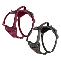 Halti Anatomy Harness