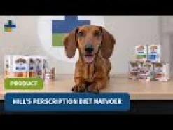 Hill's c/d Urinary Care - Prescription Diet - Lattina