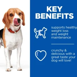 Hill's Healthy Weight Dog Treats