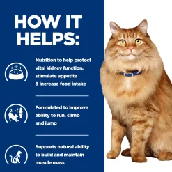 Hill's k/d + Mobility - Prescription Diet - Gatto - Bustina pasto