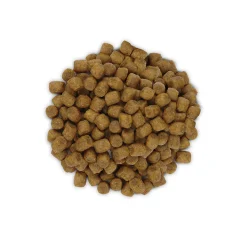Hill's l/d Liver Care - Prescription Diet - Gatto