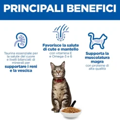 Hill's Science Plan Adult - Agnello