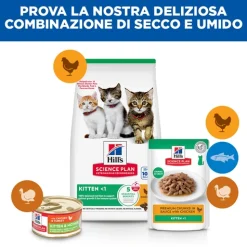 Hill's Science Plan Kitten - Pollo