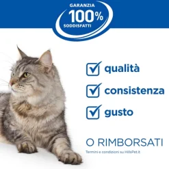 Hill's Science Plan - Kitten - Salmone