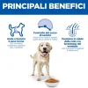 Hill's Science Plan - Large Breed - Adult - Light - Pollo