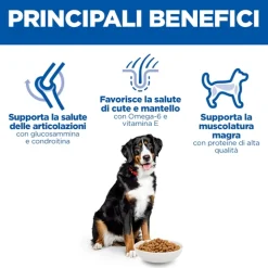 Hill's Science Plan - Large Breed - Adult - Pollo
