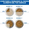 Hill's Science Plan Large Breed - Adult - Agnello e Riso