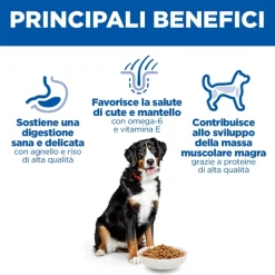 Hill's Science Plan Large Breed - Adult - Agnello e Riso