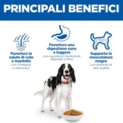 Hill's Science Plan - Medium - Adult - Pollo
