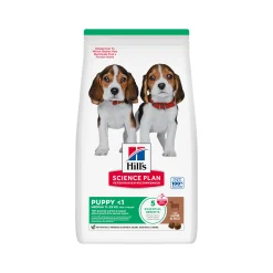 Hill's Science Plan - Puppy - Medium - Agnello e Riso