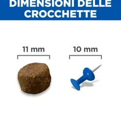 Hill's Science Plan - Puppy - Medium - Agnello e Riso