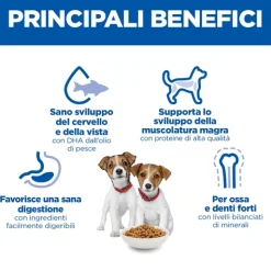 Hill's Science Plan Small & Mini - Puppy - Agnello e Riso