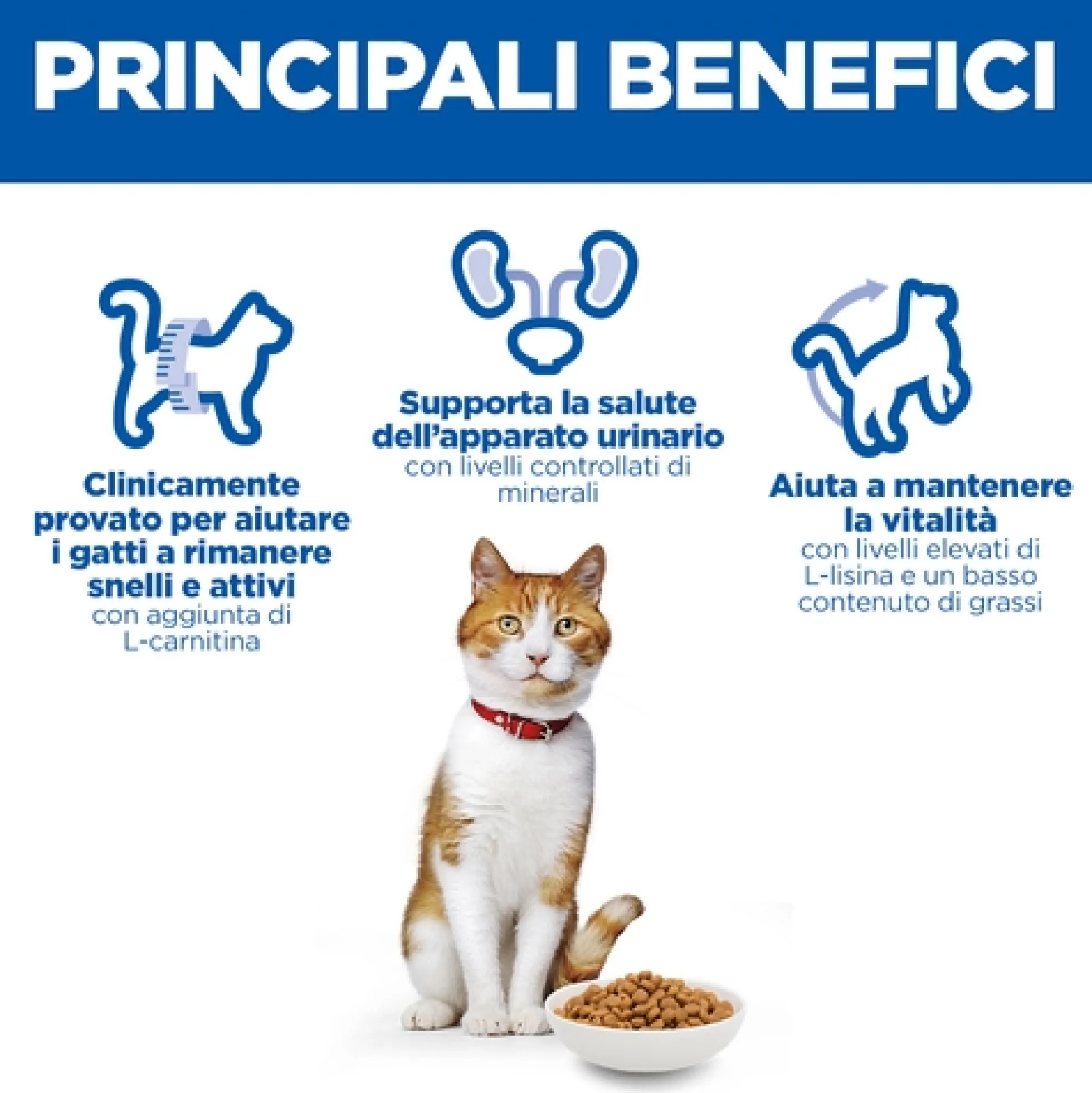 Hill's Science Plan Sterilised Cat - Adult - Pollo