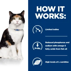 Hill's y/d Thyroid Care - Prescription Diet - Gatto - Lattina