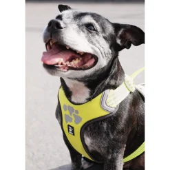 Hurtta Weekend Warrior Harness