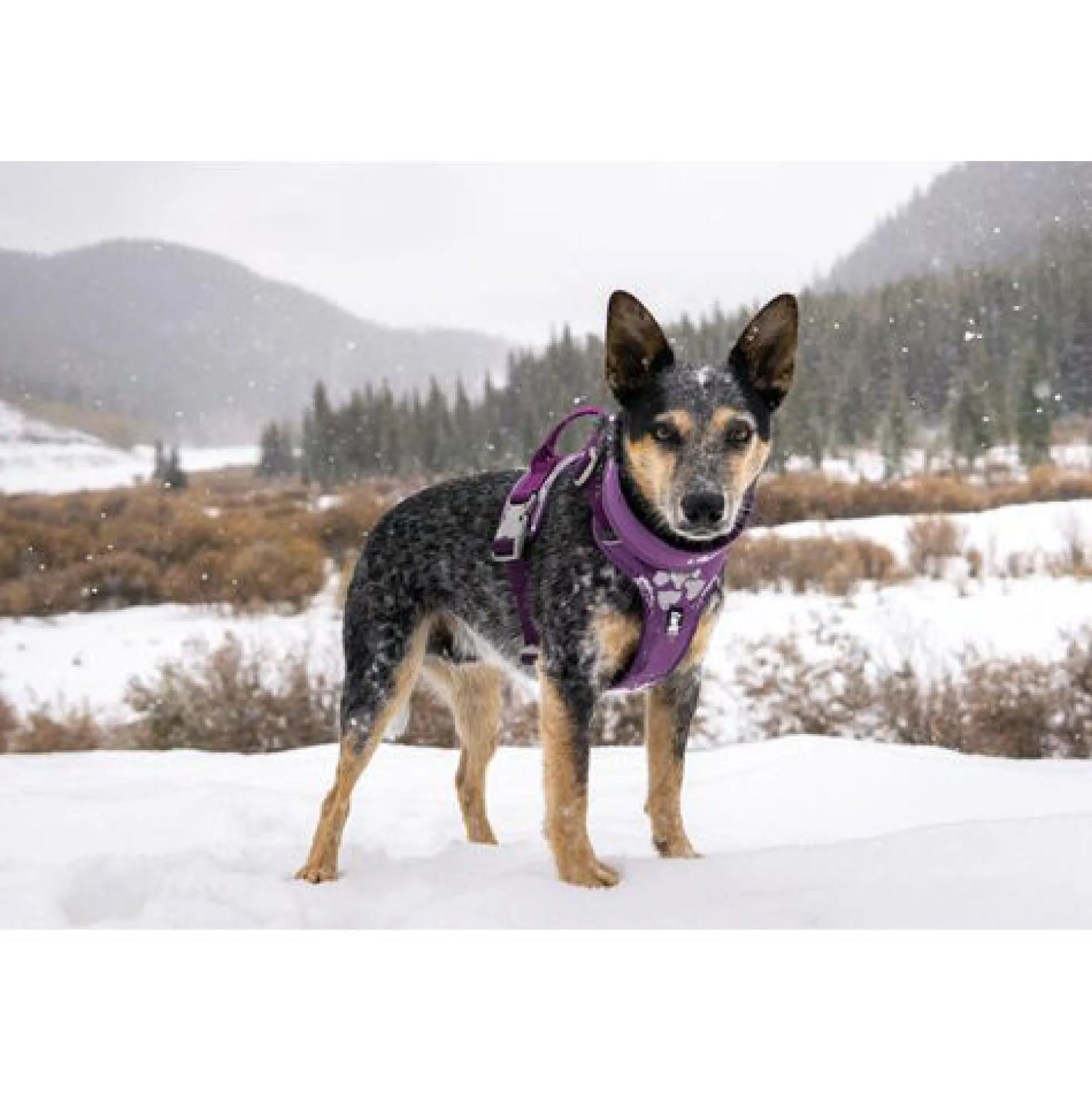 Hurtta Weekend Warrior Harness