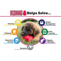 KONG Classic