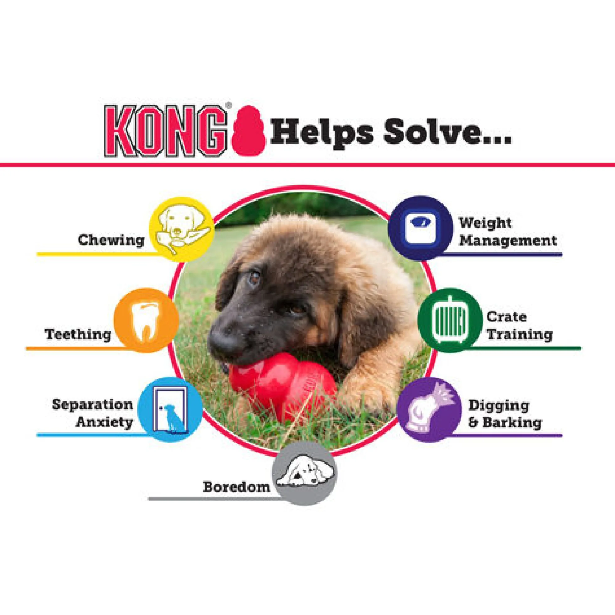 KONG Extreme