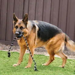 KONG Extreme Palla con Corda
