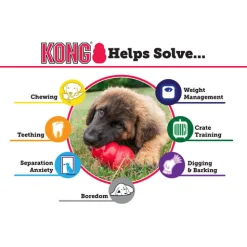 KONG Senior