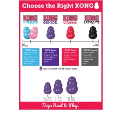 KONG Senior