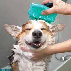 KONG ZoomGroom Bubbles
