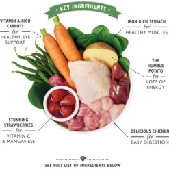 Lily's Kitchen Cibo per Cani - Lattina