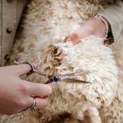 Mikki Doodle Face & Paw Scissor